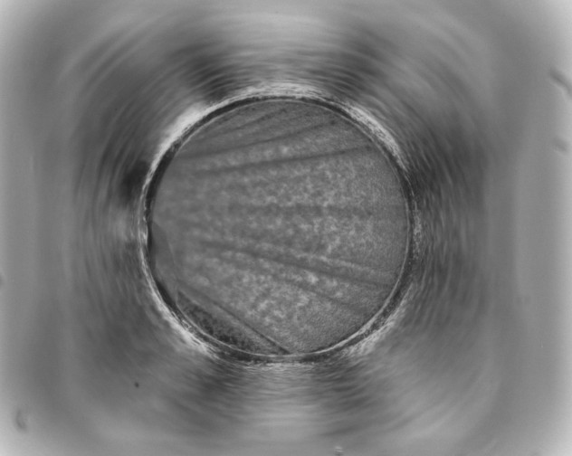 X0000095530989200712281518