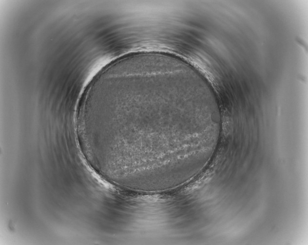 X0000095530990200712281518