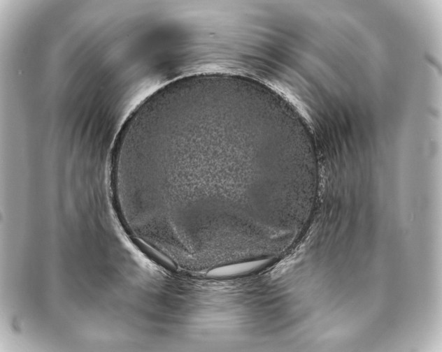 X0000095530991200712281518