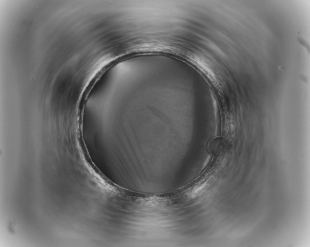 X0000095530992200712281518