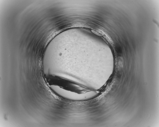 X0000095530993200712281518