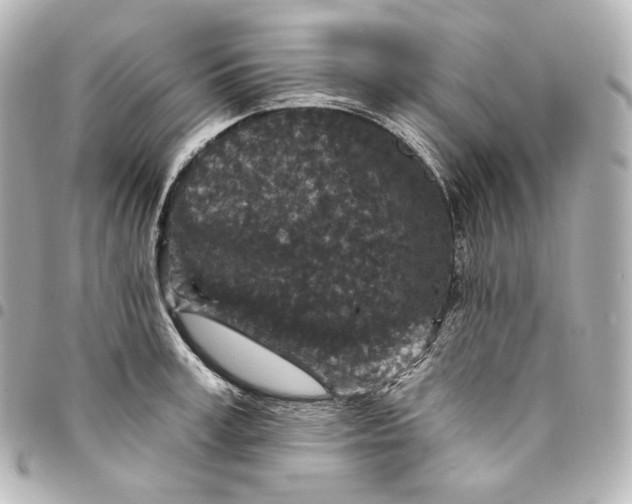X0000095530995200712281518