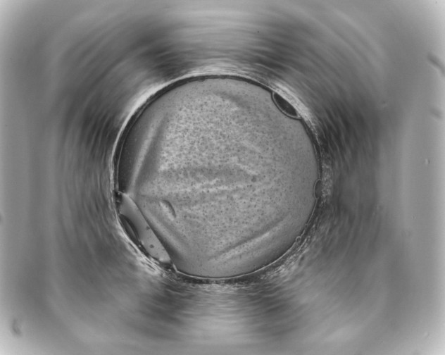 X0000095530996200712281518
