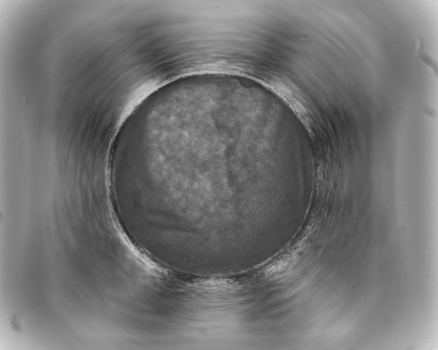 X0000095530998200712281518