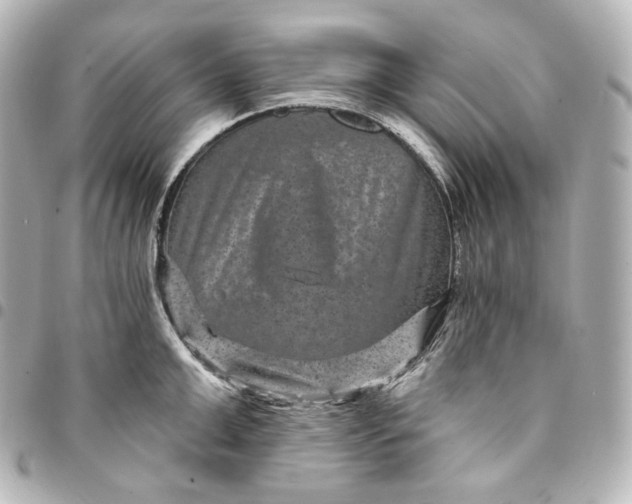 X0000095530999200712281518