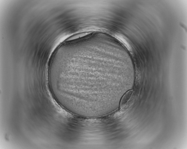 X0000095531000200712281518