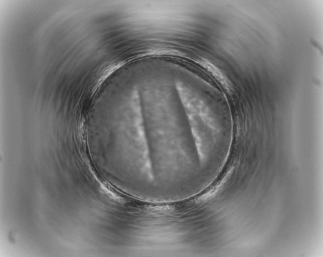 X0000095531001200712281518