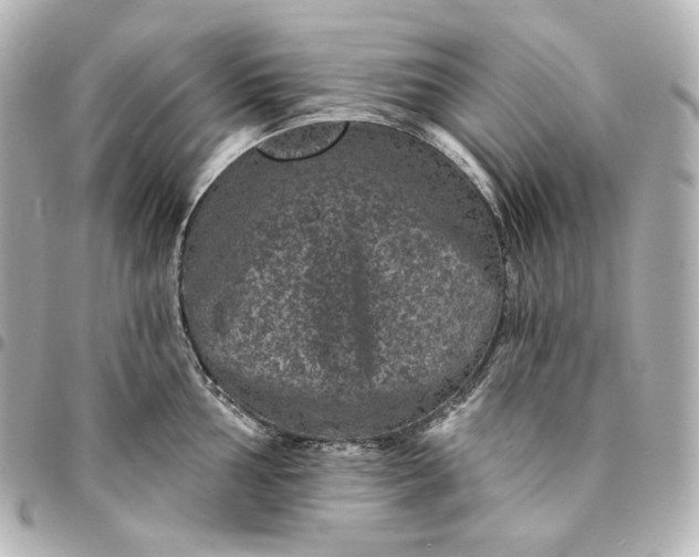 X0000095531002200712281518