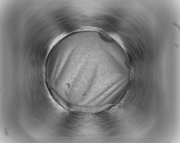 X0000095531003200712281518
