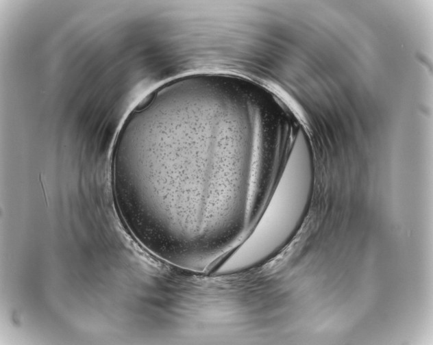 X0000095531004200712281518