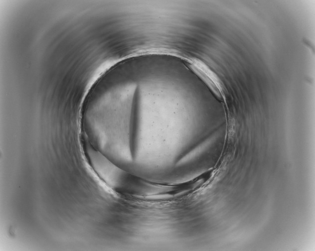 X0000095531005200712281518