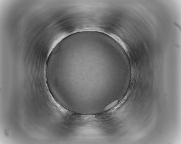X0000095531006200712281518