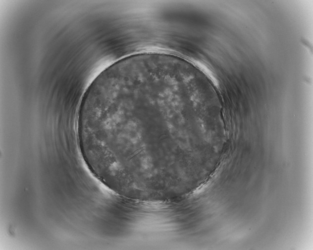 X0000095531007200712281518