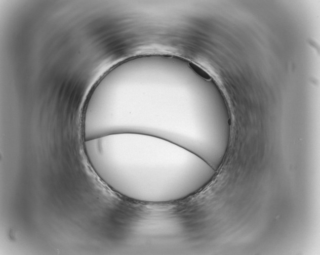 X0000095531008200712281518