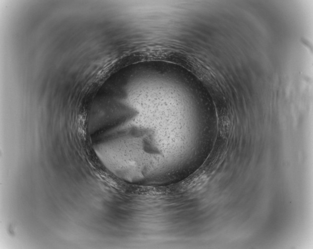 X0000095531010200712281517