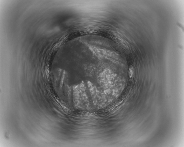 X0000095531011200712281517