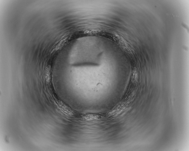 X0000095531012200712281517