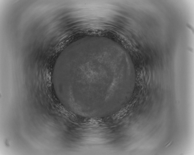 X0000095531013200712281517