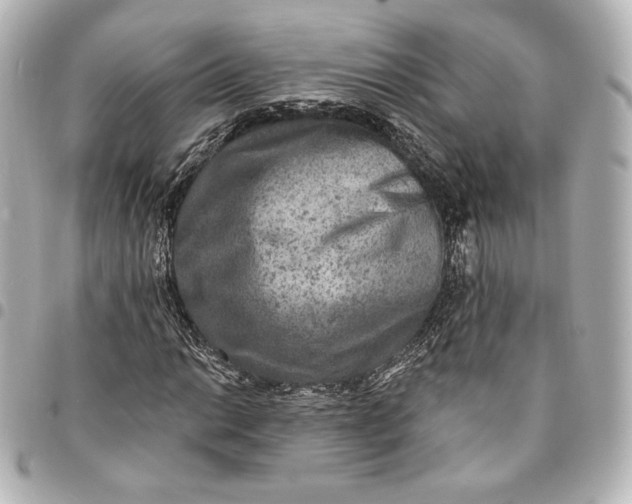 X0000095531014200712281517