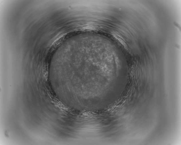 X0000095531015200712281517