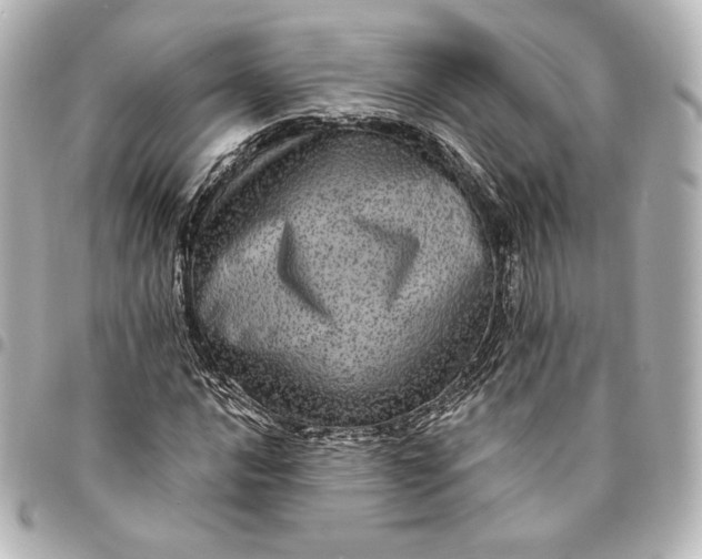 X0000095531016200712281517