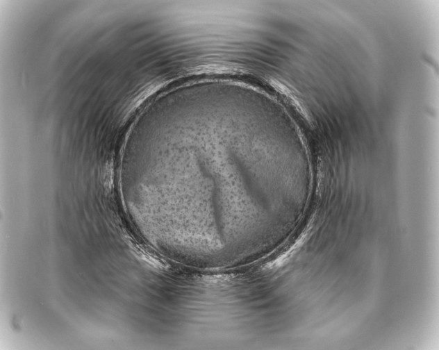 X0000095531017200712281517