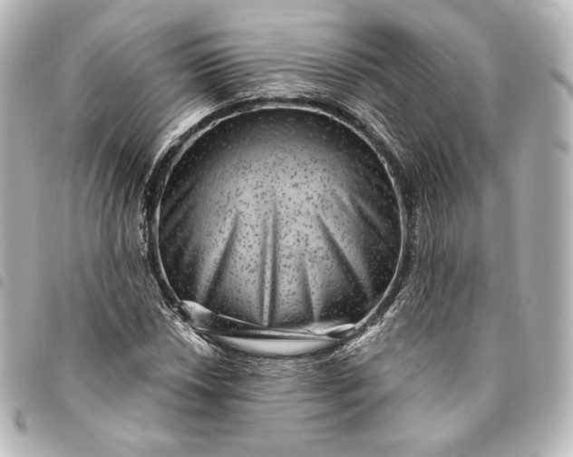 X0000095531018200712281517