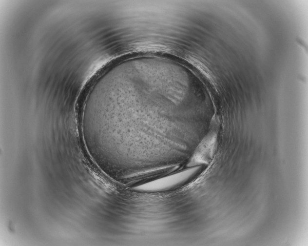 X0000095531022200712281517