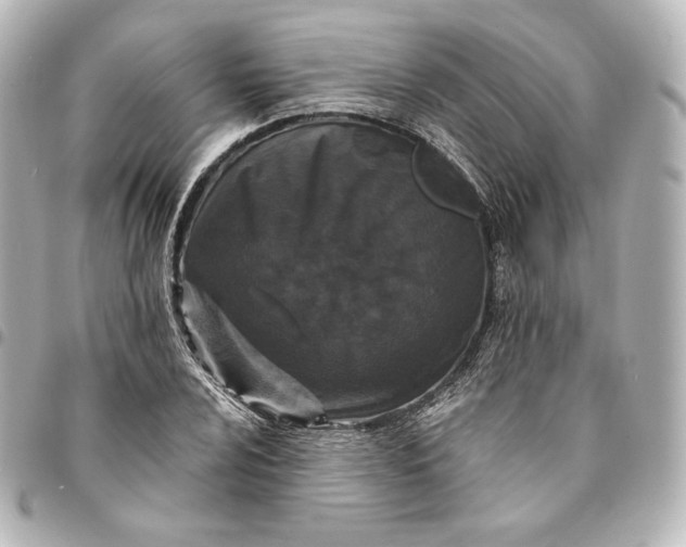 X0000095531024200712281517