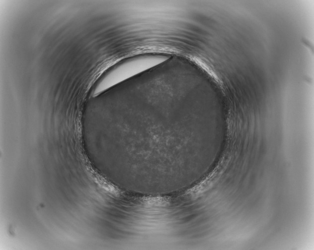 X0000095531025200712281517