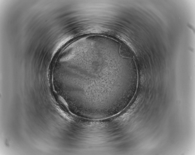 X0000095531026200712281517