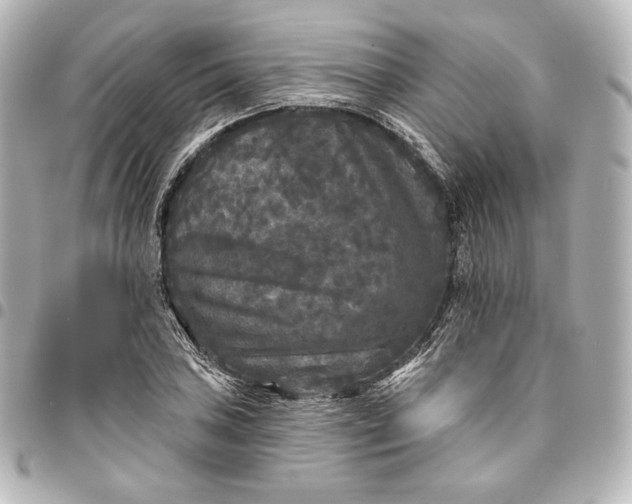 X0000095531027200712281517