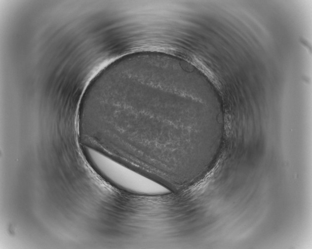 X0000095531028200712281517