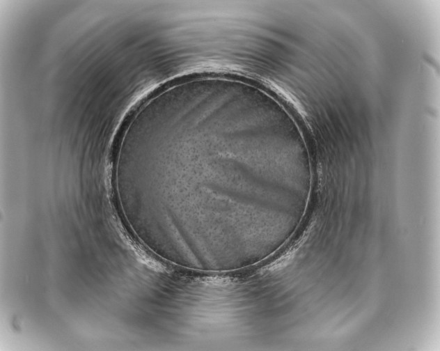 X0000095531029200712281517