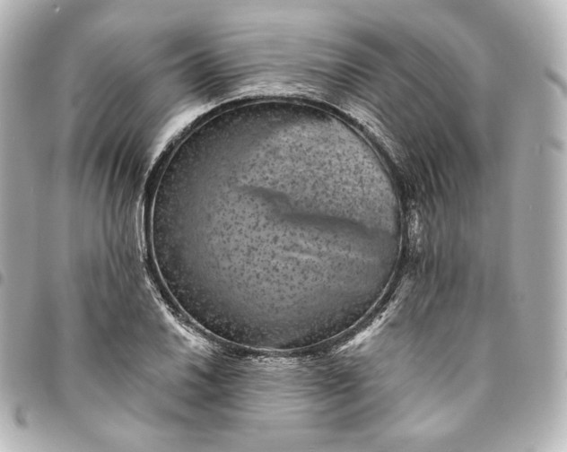 X0000095531030200712281517