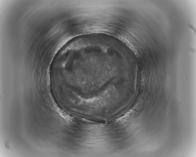 X0000095531031200712281517