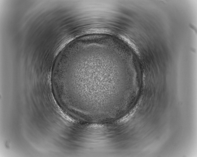 X0000095531033200712281518