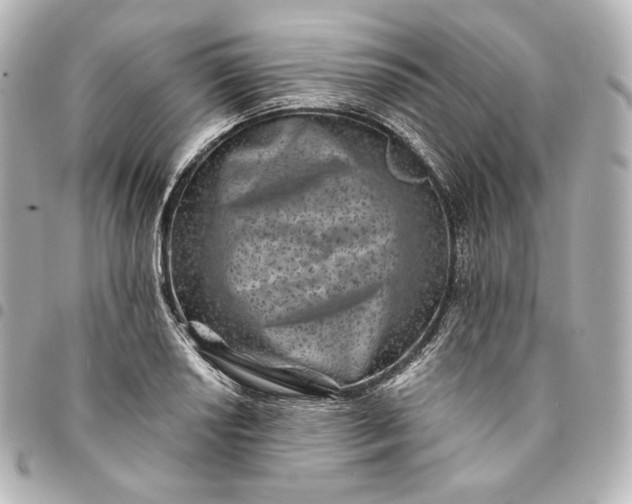 X0000095531034200712281518