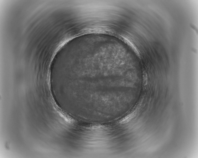 X0000095531035200712281518