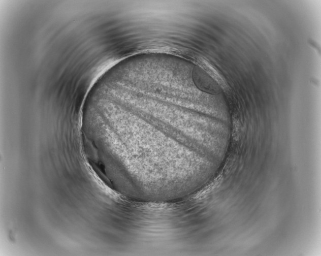 X0000095531036200712281518