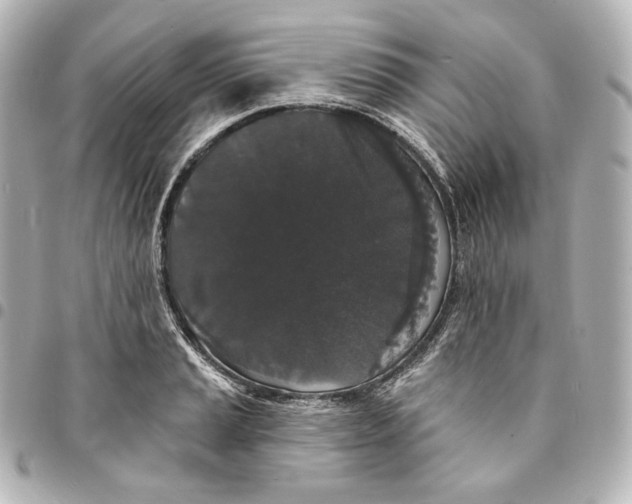 X0000095531037200712281518