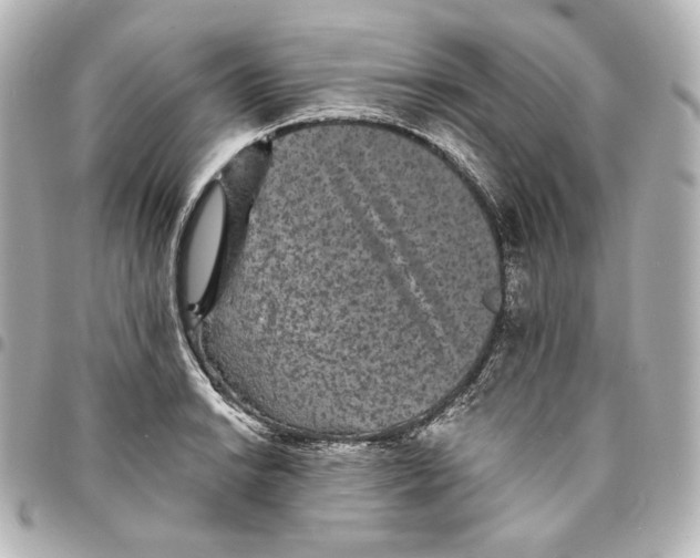 X0000095531038200712281518
