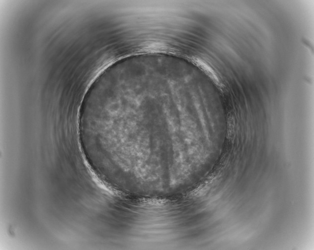 X0000095531039200712281518