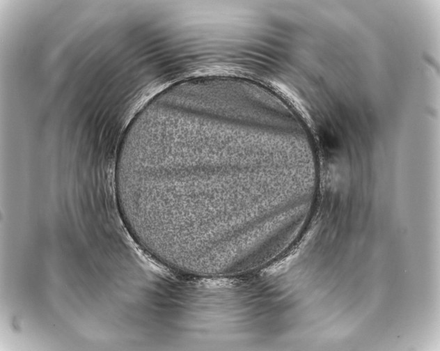 X0000095531041200712281518