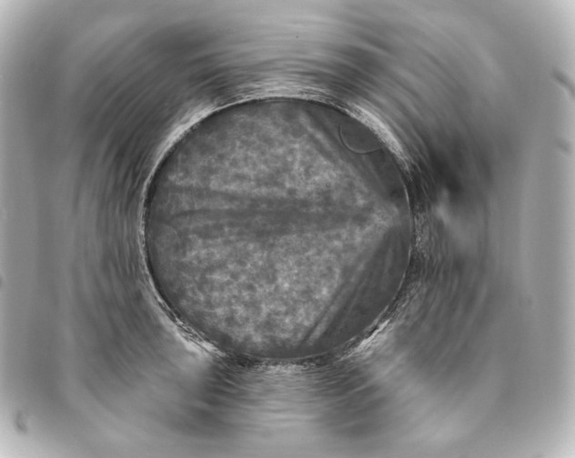 X0000095531043200712281518