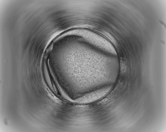 X0000095531044200712281518