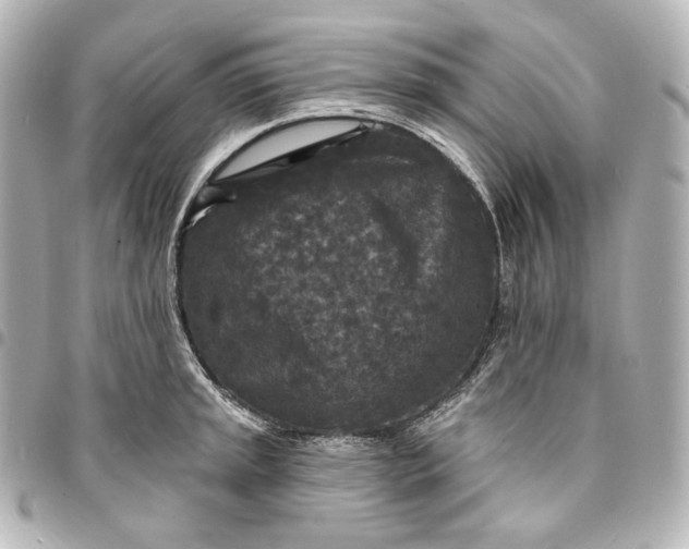 X0000095531045200712281518