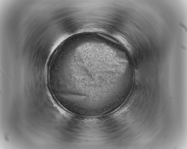 X0000095531046200712281518