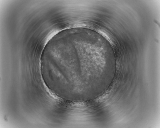 X0000095531047200712281518