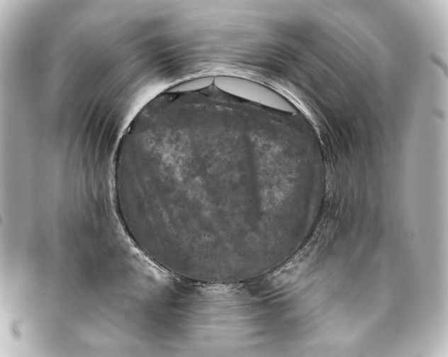 X0000095531048200712281518